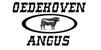 Oedekoven Angus Ranch